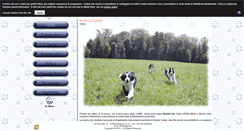 Desktop Screenshot of borderlinemonguzzo.it